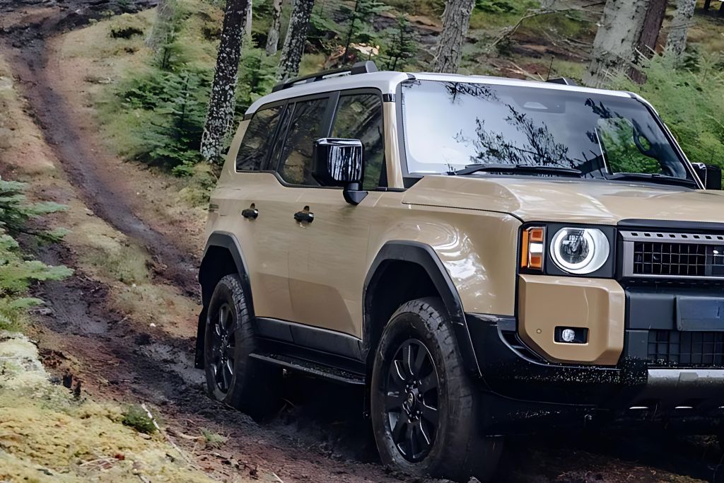 Environmental Factors | Blue Star Auto Salon Environmental Factors