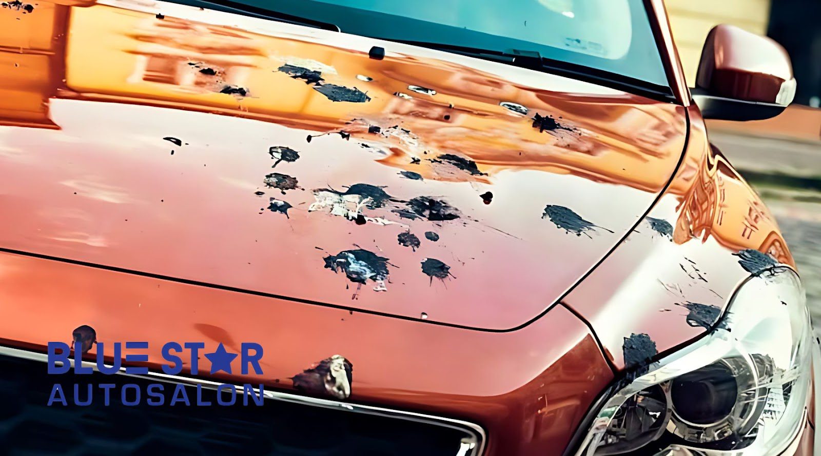 Paint Protection