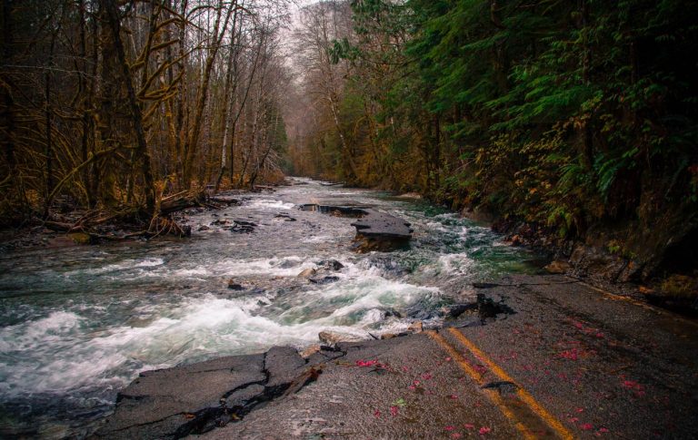 Flooding in Snohomish County Everett, WA