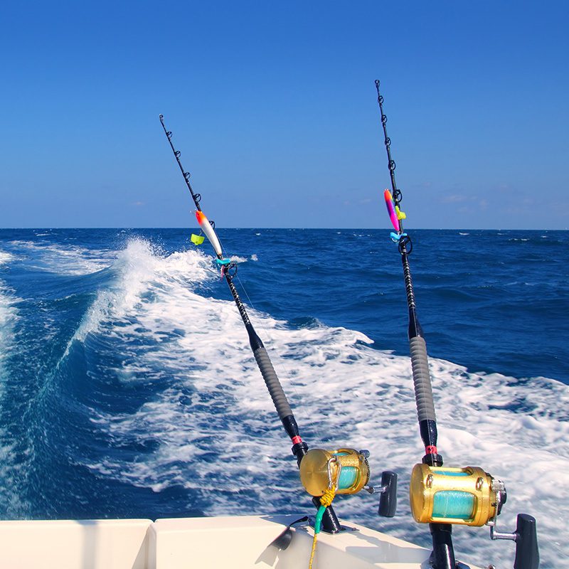 Two fishing rods mounted on a boat pointing toward the blue open sea under a clear sky.