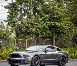 Gray Ford Mustang fastback parked in a lot with a chain-link fence and tall evergreen trees behind it; Bluestar Autosalon logo bottom right.